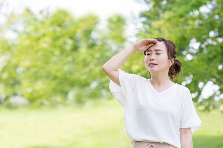 夏バテ・熱中症と内科疾患の関係｜豊橋の野田内科クリニックの画像